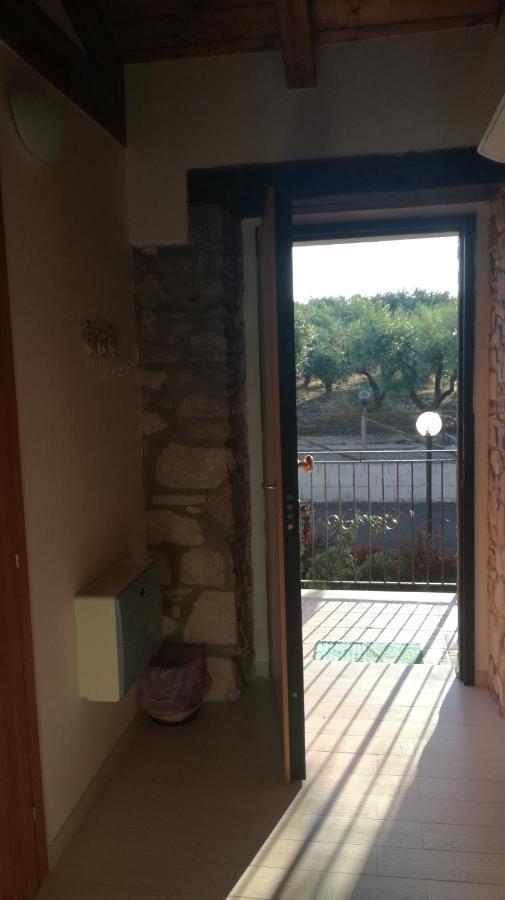 B&B Pozzo Innamorato 蒙泰内罗迪比萨恰 外观 照片